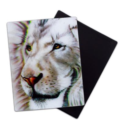 China Wholesale Customized Animal Lenticular PET Animal Flip Change Effect Fridge Magnet 3D pp High Quality For Souvenir Gifts for sale