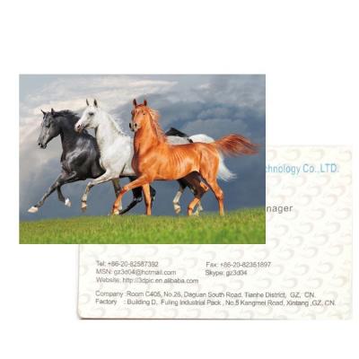 China Advertising Advertising Manufacturer Price 100LPI Cards Dusiness 3D Offset Lenticular Plastic Cards for sale