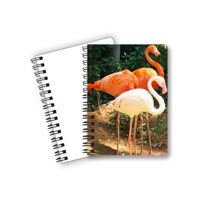 China free sample school spiral 3d a4/a5/a6 spiral notebook notebook with customized logo for sale