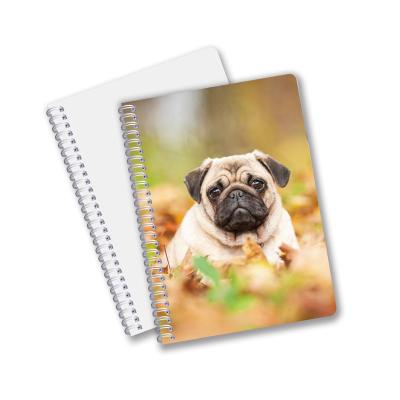 China China 3D Notebook with Spiral, Tied Wire O Notebook, Custom China 3D Depth Effect PP/PET Lenticular Cover for sale