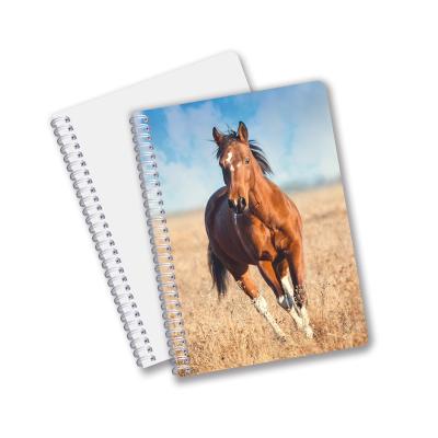 China Spiral 0.6mm Thickness Cover Spiral 3D Spiral Plastic Lenticular Notebook 80 Pages A4/A5/A6 Size for sale