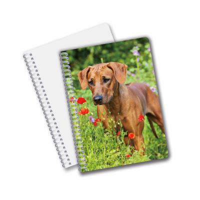 China A5/A6 Size A5/A6 Spiral Lenticular Notebook PET/PP 3D Spiral Notebook UV Printing For School for sale