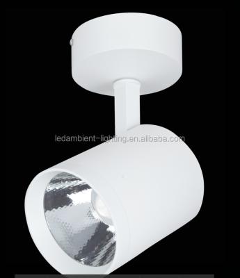 China Dimmable LED Wall Wash Spotlight 30W Using For Jewellery Shop Spot Light for sale