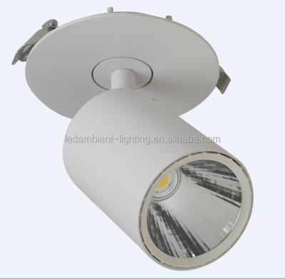 China Ceiling movable mounted Clothes Showcase Light 20W LED Ceiling Spot LIGHT Fixture for sale