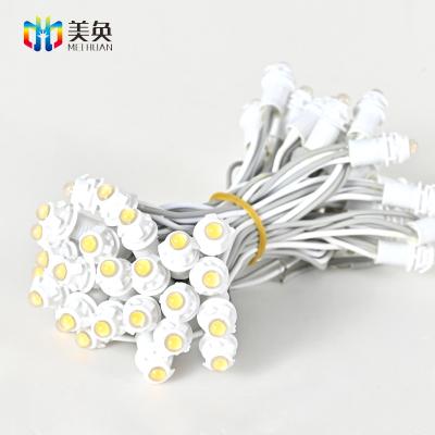 China India Outdoor Hot Sale Waterproof Single Color 50 LED 10cm DC 12v 9mm Led Pixel String LED Light Modules for sale