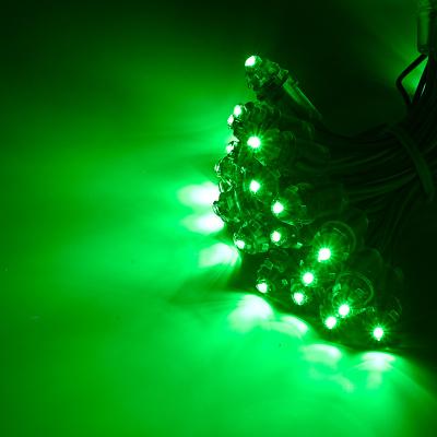 China Outdoor Single Color DC 12v 9mm LED Module Green Led Signage Letters Lights Waterproof Christmas Decorations Drilling Light Strings for sale