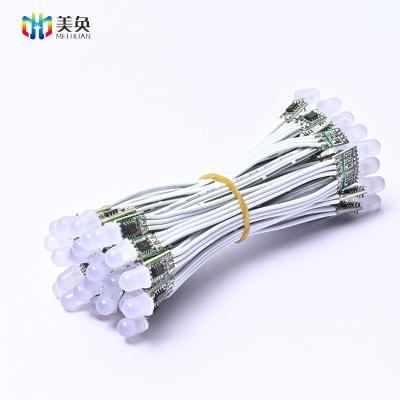 China Wholesale Waterproof Outdoor LANDSCAPE LED Pixel String 12mm DC12V RGB Christmas Light String Light Factory Direct for sale