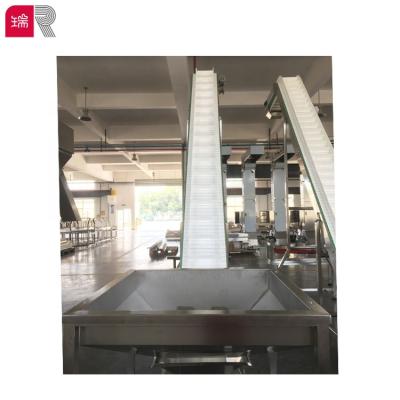 China High Quality Ruipacking-Automatic Stainless Slope Bucket Belt Conveyor For Sale For Food/Sachet/Pouch for sale