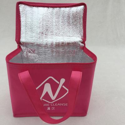 China Hot-selling high quality Cooler bag Ice bag Picnic bag insulated cooler case for sale