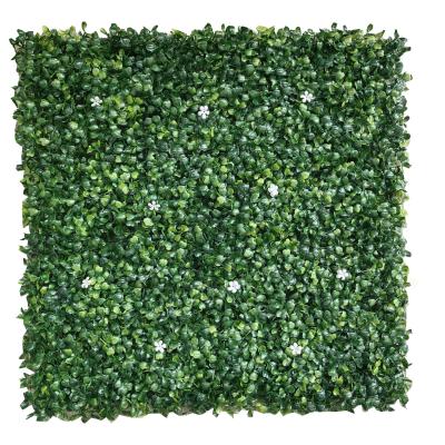 China Waterproof 50*50cm Wholesale Decorative Green Artificial Plant Wall Boxwood Hedge For Green Exterior Wall With White Flower AP18407 for sale