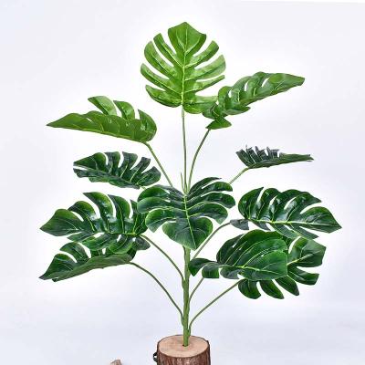 China Waterproof Wholesale Decorative Artificial Leaves Turtle Leaf for Garden and Home Decorations 58cm Tall AP18299 for sale