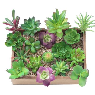 China Mini Green Indoor Succulent Artificial Waterproof Desert Plants for sale