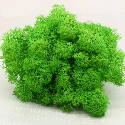 China Wholesale waterproof stabilized preserved lichen reindeer moss for wall decoration and home decoration for sale