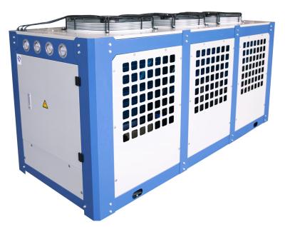 China Industrial Container Cold Room Freezer Storage Chiller Room For Keeping Fresh Fruits And Vegetables for sale