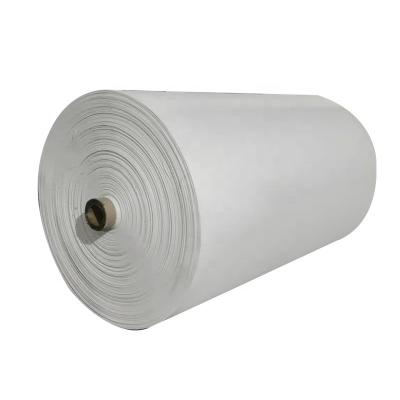 China Recyclable White PP Polypropylene Tubular Fabric Woven Bag Woven Roll For Agriculture for sale