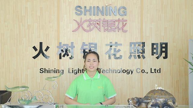 Verified China supplier - Foshan Shining Lighting Technology Co., Ltd.