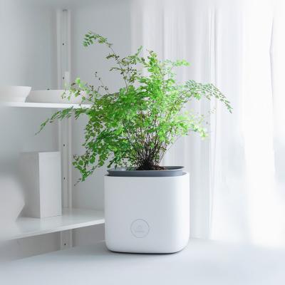 China Hotel kitchen office home air quality smelling use wifi app air purifier flowerpot desktop appearance for sale