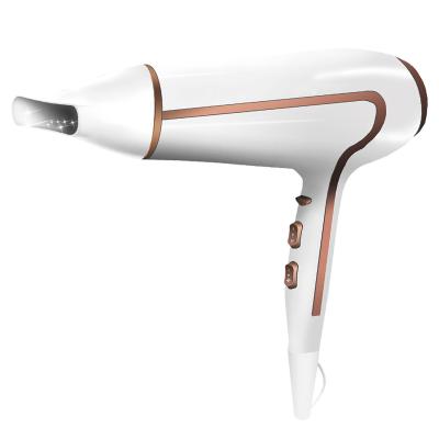 China Wholesale Ionic Dryer Hair Dryer Blow Up Hair Straightener A Hair Dryer For Sale for sale