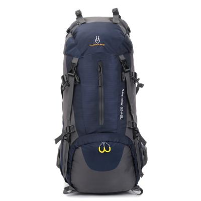 China Large Capacity 55L Custom Backpack Waterproof Stylish Camping Traveling Backpack For Hiking for sale