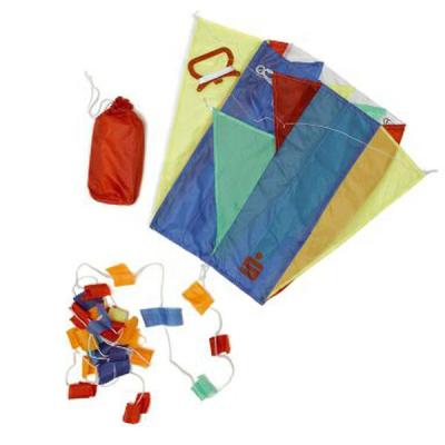 China Entertainment Customized Polyester Folded Mini Pocket Kite For Kids for sale