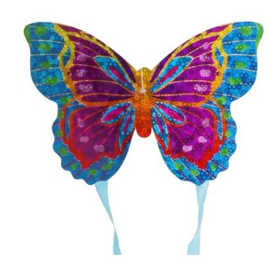 China Entertainment/Scary Bird Chinese Weifang Kite Customized Beautiful Colorful 3D Butterfly Kite for sale