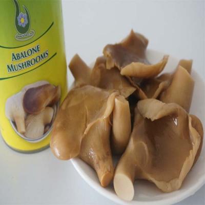 China Best Canned Abalone Canned Mushroom In Brine 425g Price for sale