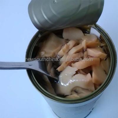 China A9 canned canned king oyster mushroom in brine for sale