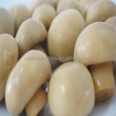 China Canned canned food canned champignon mushrooms for sale