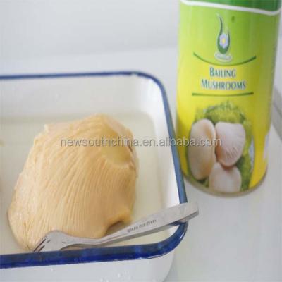 China Canned Canned Scooping Mushroom Marks Cook Canned Mushrooms 800g for sale