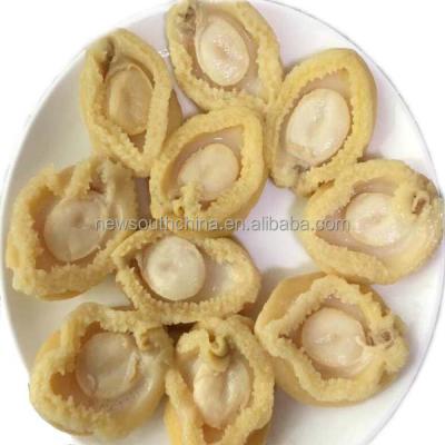 China Canned Canned Abalone Dried Abalone 425g Wholesale for sale