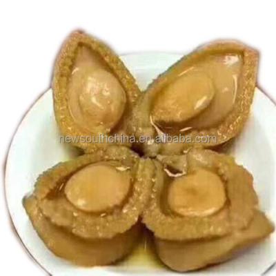 China Cooked canned abalone dried abalone price for sale haccp for sale