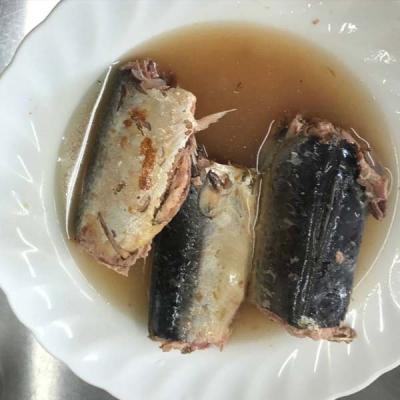 China Chinese canned mackerel canned fish in brine 425g for sale