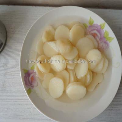 China Canned Water Chestnut Canned in Whole Tin/Slice/Matrix 567g for sale