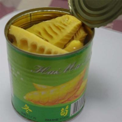 China Canned Bamboo Shoot Halves Canned Vegetables 552g for sale