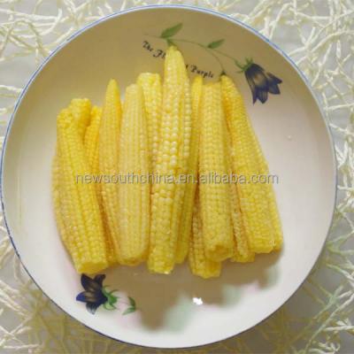 China 2021 New Season Canned Canned Baby Corn 425g for sale