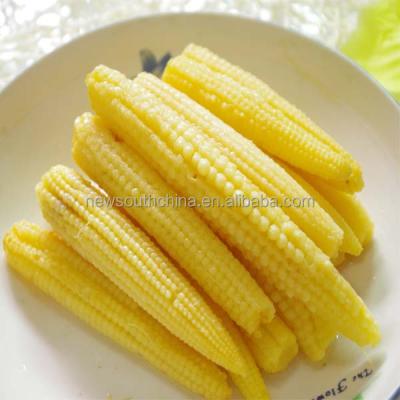 China Canned Yellow Corn Canned Corn 425g for sale