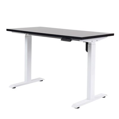 China Two Leg Electric Simple Two-stage Height Motor Adjustable (Height) Standing Desk With Load Anti-collision Rebound for sale