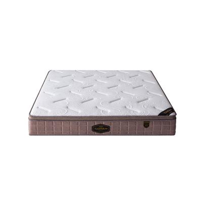 China High Density Luxury Full Size Foam Queen HomeUse Pocket Compressed Bed Bases for sale