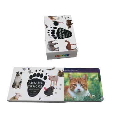 China Family Game Playing Learning Educational Learning Cards Animal Cards For Adults Children for sale