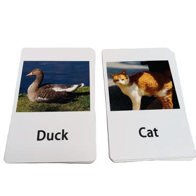 China Play OEM Household Educational Learning Cards for sale