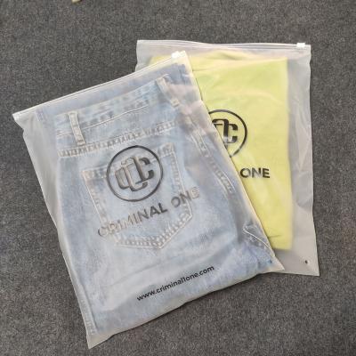 China Recycled Materials Customized Biodegradable Underwear Frosted Printed Zip Lock Bag EVA Clothing Bikini Packaging Plastic Zipper Bags With Logo for sale