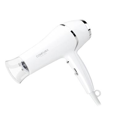 China Low Noise Ionic Ionic Electronic Professional Hair Dryer Hair Dryer Motor for sale