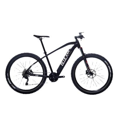 China New Standard Models X5 Alloy 36V 250W Battery Lithium Battery Electric Road Bike E-Bike for sale