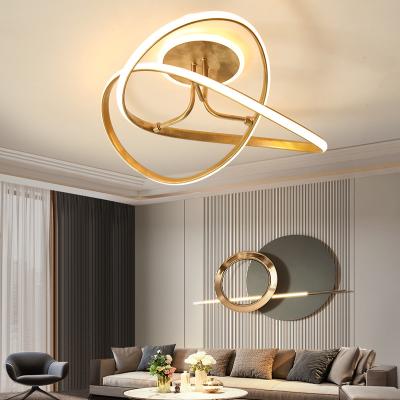 China Modern Living Room Designer Ceiling Lights Minimalist Home Nordic Led Ceiling Lamp(WH-MA-273) for sale