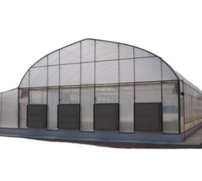 China PE Single-Span Agricultural Tomato Greenhouses for sale