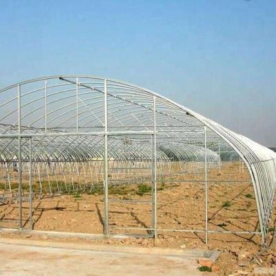 China High Quality PE Tunnel Growing Green Houses For Agriculture for sale