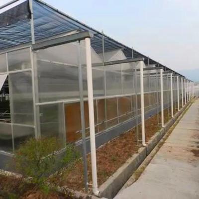 China Polycarbonate Green House Glass Greenhouses For Agriculture for sale