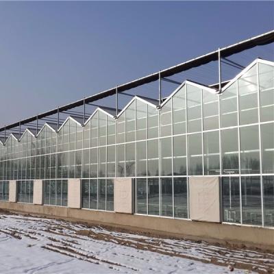 China Strong glass structure galvanized Venlo polycarbonate commerical agricultural garden green houses with good price for sale