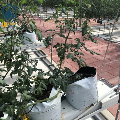 China Fluorocarbon (PVDF) paint finish greenhouse for tomato and pepper production for sale