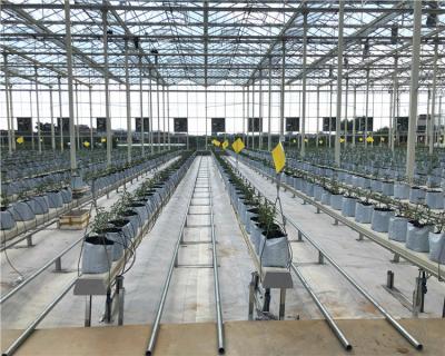 China PVC NFT For Hydroponic Tomato Growing Greenhouse for sale